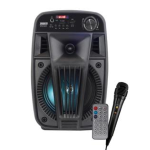 Diffusore amplificato 100W