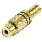 PRESA RCA DORATA NERA