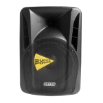 BOX AUDIO PROFES.C/TROLLEY 300W CON BTH/USB/SD