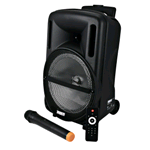 DIFFUSORE AMPLIFICATO C/RADIOMICR. 500W